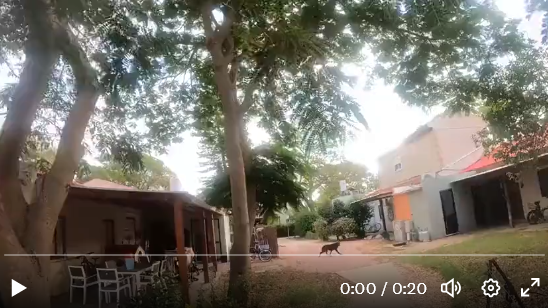 kryolkek's tweet photo. à mes camarades, si vous voyez une vidéo qui commence avec cette image, NE CLIQUEZ PAS, il s'agit d'une mise a mort d'un chien. https://t.co/QAA9QeyByn