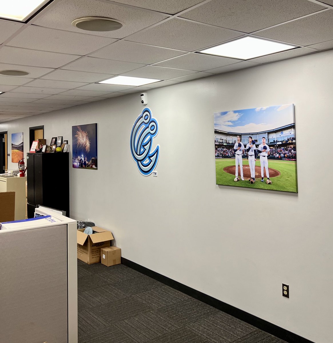 cchooks's tweet photo. We liked this pic so much we literally hung it on our wall. https://t.co/je9R01X5KS