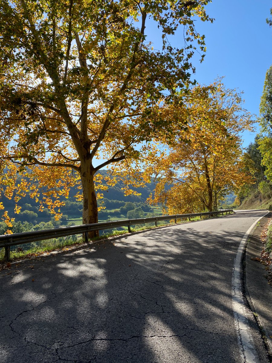 Robert Penn tweet media