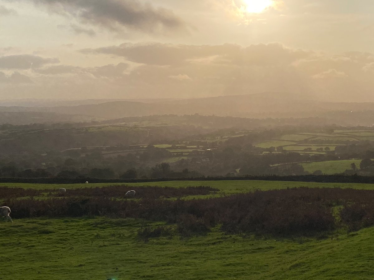 Robert Penn tweet media