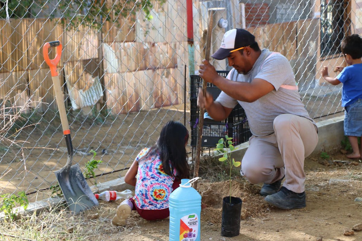 Neli_morena's tweet photo. 🌳Iniciamos la Campaña de Reforestación "Raíces de Nueva Esperanza" en Santa Cruz Xoxocotlán. Representa un símbolo poderoso de crecimiento, aprendizaje y resiliencia para nuestras mujeres y nuestro planeta. 🌍✨

#RaícesDeNuevaEsperanza #Oaxaca #Reforestación #AmorYEducación https://t.co/l0ATe85EvM