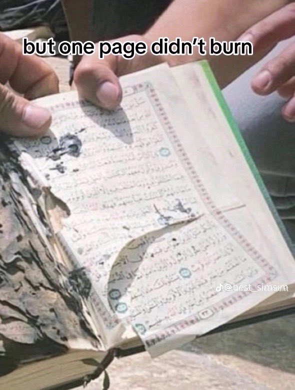 𝐀𝐁𝐃𝐎𝐔 🇲🇦🇳🇱 tweet media