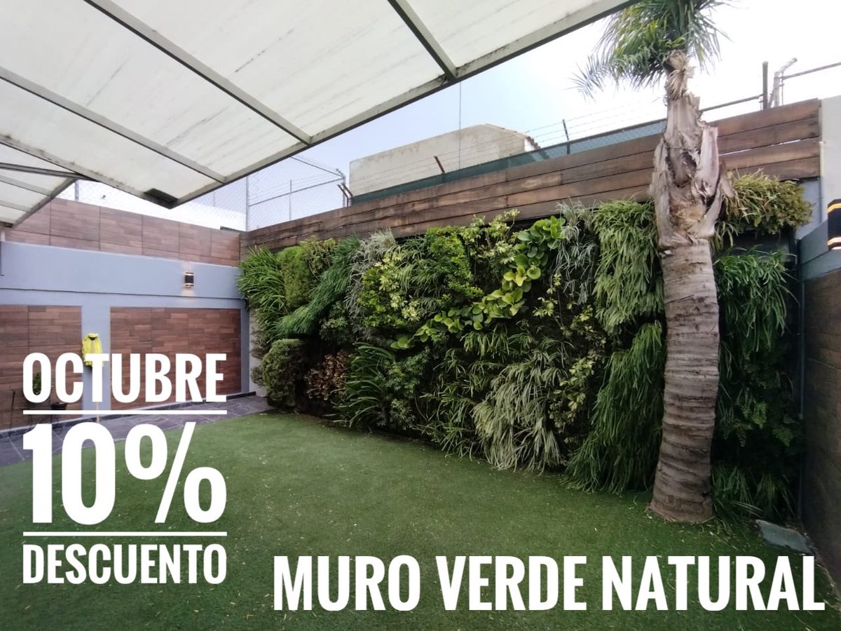 All Green tweet media