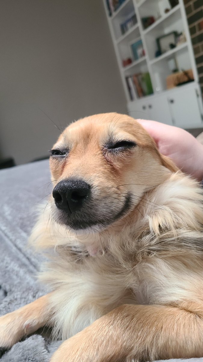 Kyler Wilson tweet media