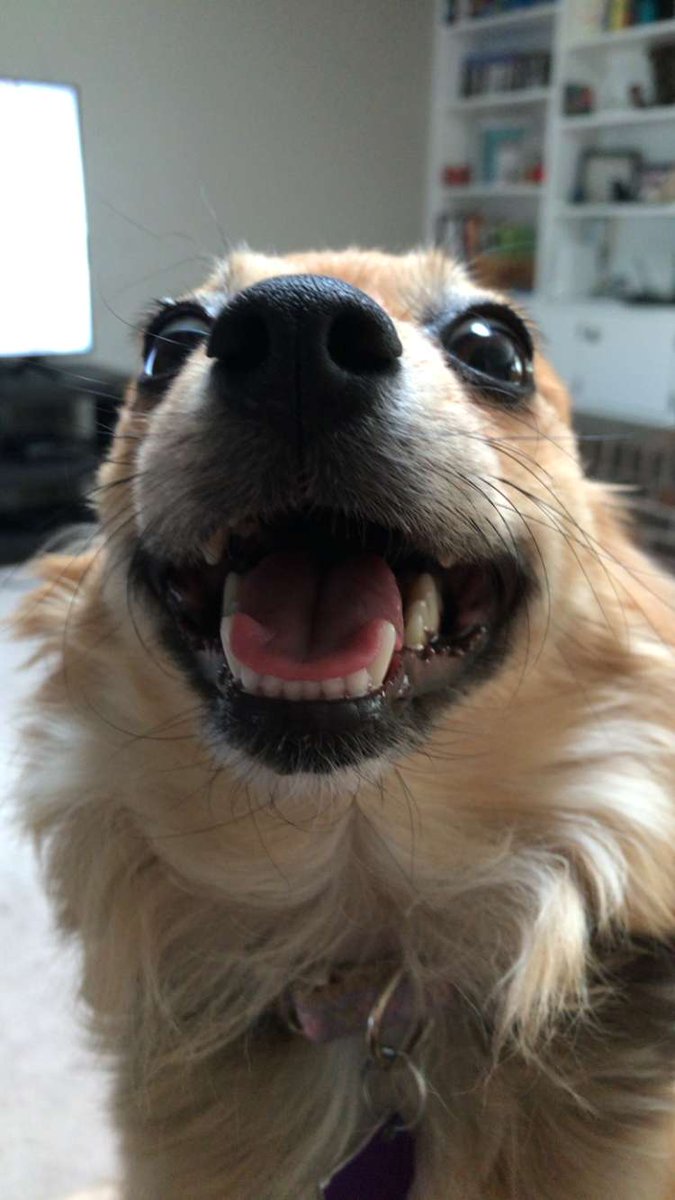 Kyler Wilson tweet media