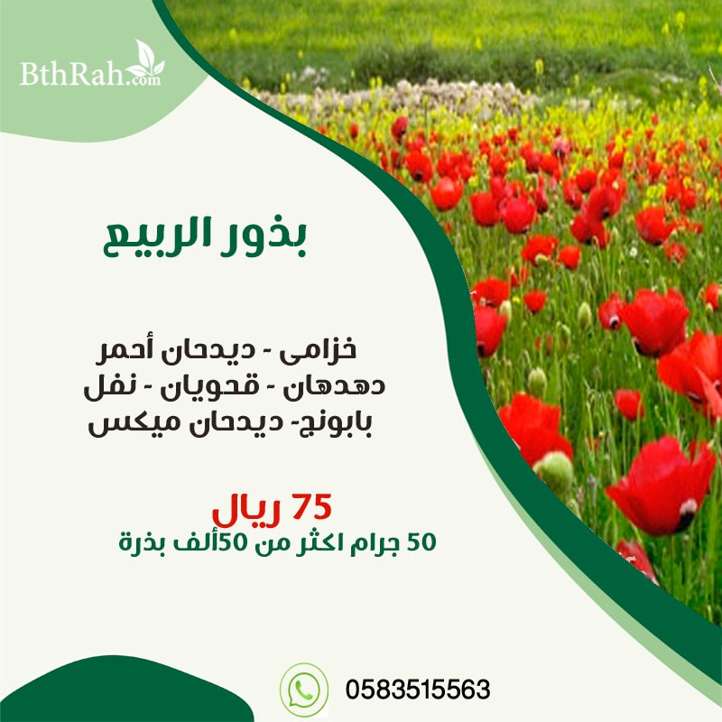 bthrahSA's tweet photo. @esam5505 بالإمكان الطلب من الواتس أو المتجر مباشرة https://t.co/DcXKTwMezI