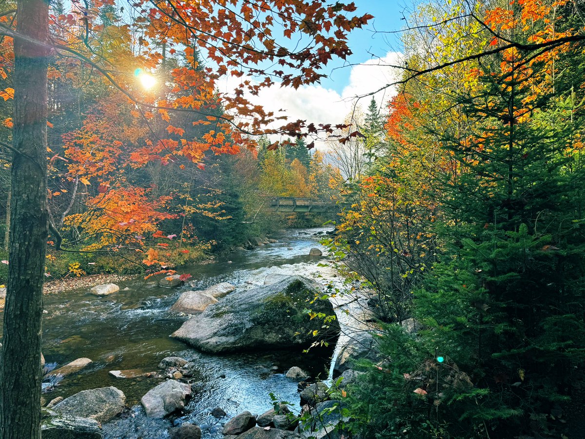 Picture perfect today 🍁🍂🧡😌 

#Fall #Autumn #Leaves #NewHampshire #WhiteMountains