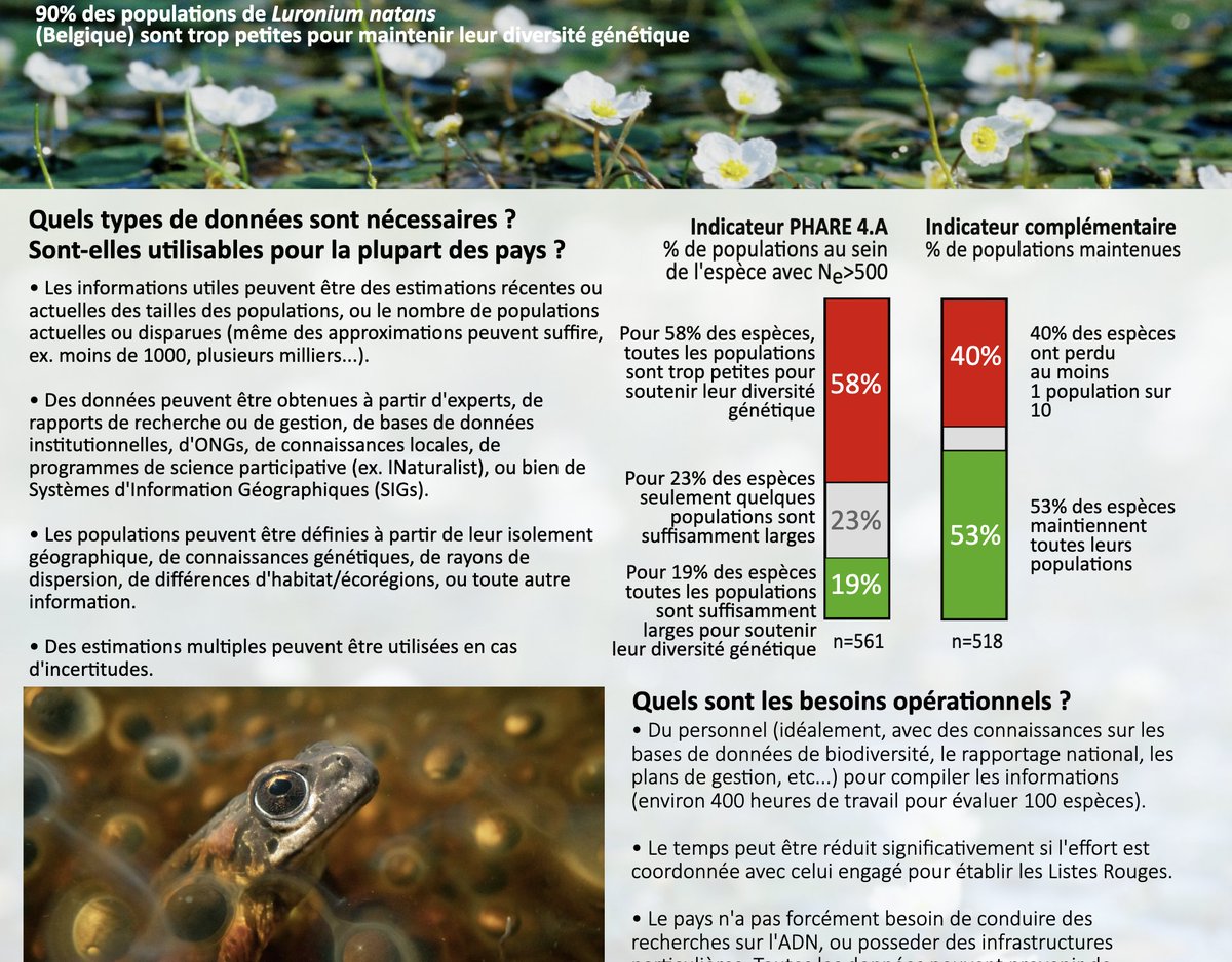Sean Hoban (@seanmhoban) on Twitter photo Hello <a href="/GEOBON_org/">GEO BON</a> #GEOBONconf2023! Interested in genetic diversity monitoring? With your fresh Montreal bagel or croissant, check out a fresh genetic diversity indicator Policy Brief, via <a href="/CoalitionConGen/">The Coalition for Conservation Genetics</a>. coalitionforconservationgenetics.org/sbstta25 (scroll down to policy brief. French version also) Hello <a href="/GEOBON_org/">GEO BON</a> #GEOBONconf2023! Interested in genetic diversity monitoring? With your fresh Montreal bagel or croissant, check out a fresh genetic diversity indicator Policy Brief, via <a href="/CoalitionConGen/">The Coalition for Conservation Genetics</a>. coalitionforconservationgenetics.org/sbstta25 (scroll down to policy brief. French version also)