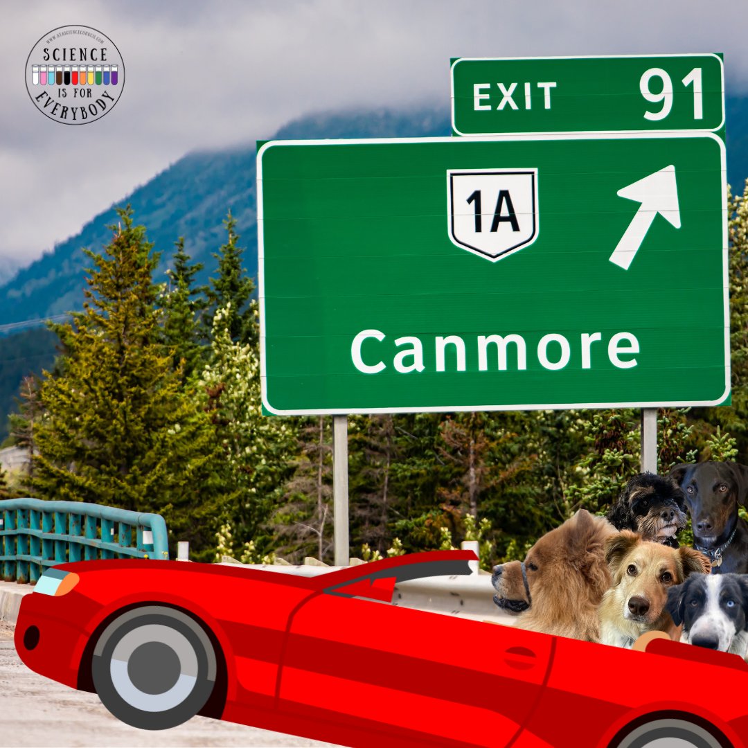 ATASciCouncil's tweet image. The #SciencePups are packed and ready for their road trip. 
Safe travels to Canmore #ATASC2023 Delegates! See You Soon!
#ATASC #BrucetheChowPup #ScienceCommunication #ScienceConference #ATASciCouncil @ata_pd