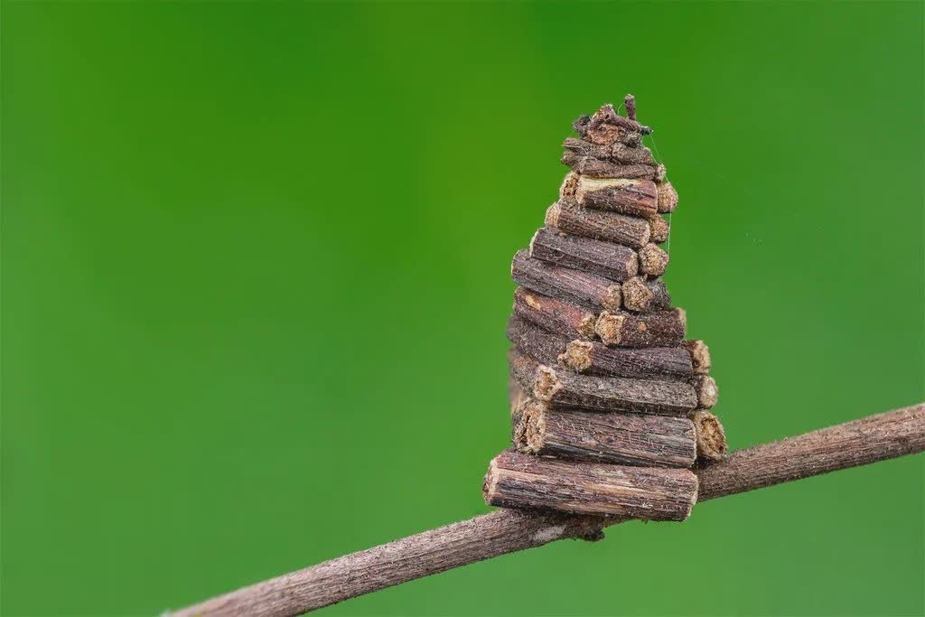 CscecM's tweet image. Leeza SOHO in #Beijing&apos;s Lize Financial Business District, constructed by #CSCEC, features a unique &quot;double helix&quot; design with two twisting towers. It houses the world&apos;s tallest atrium, combining innovation and beauty in an awe-inspiring structure.