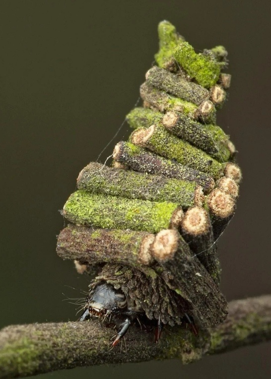 CscecM's tweet image. Leeza SOHO in #Beijing&apos;s Lize Financial Business District, constructed by #CSCEC, features a unique &quot;double helix&quot; design with two twisting towers. It houses the world&apos;s tallest atrium, combining innovation and beauty in an awe-inspiring structure.