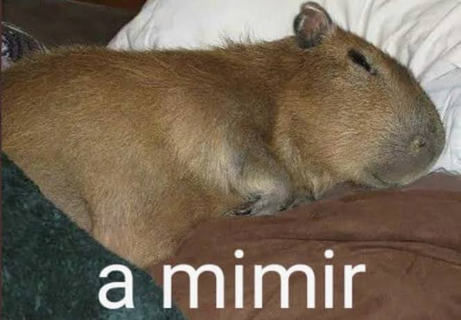 fdpriscila's tweet photo. @meyrirs a qualquer momento não mais https://t.co/68dmy3fDz0