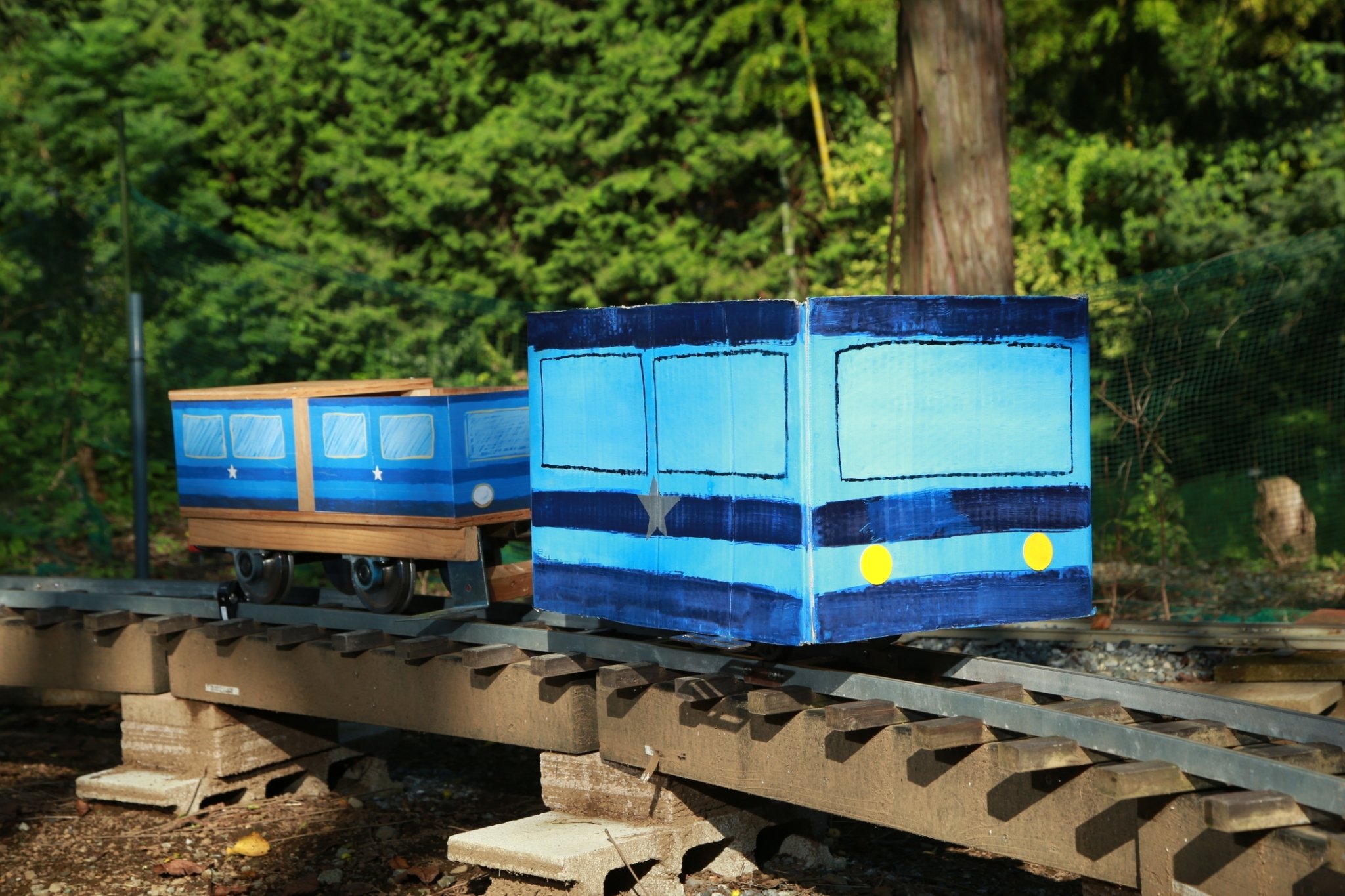 ミニ庭園鉄道（乗用5インチ）オリジナル列車二両（製造注文限定）