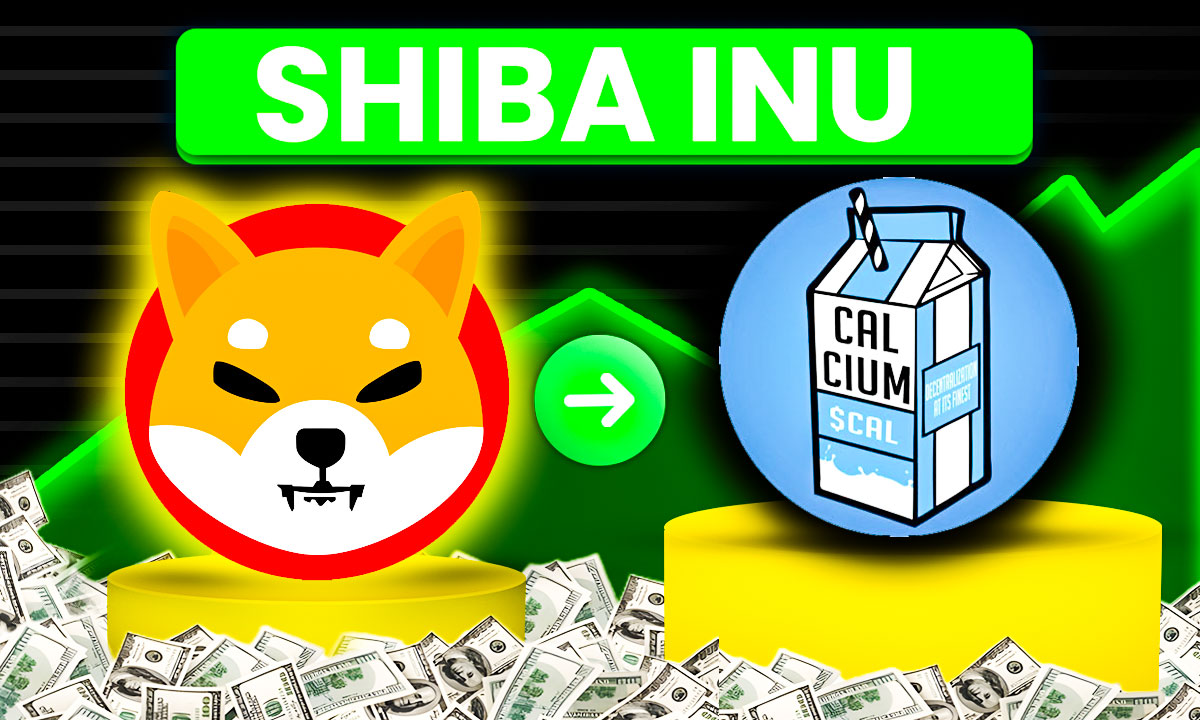YourPOP (@yourpop8) on Twitter photo The community has spoken! Here is my break down of $CAL token and how the $SHIB team accidentally birthed an awesome community! <a href="/CalciumERC/">Calcium | $CAL</a>
New Video: youtu.be/wt899O1c6DU?si… The community has spoken! Here is my break down of $CAL token and how the $SHIB team accidentally birthed an awesome community! <a href="/CalciumERC/">Calcium | $CAL</a>
New Video: youtu.be/wt899O1c6DU?si…