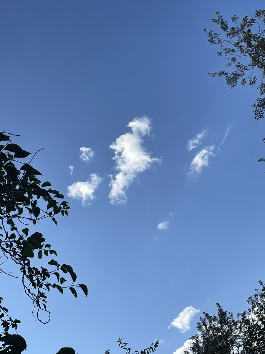 Walking the dog. :) #skypaint #cloudart