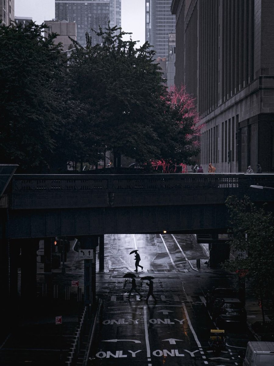 buikhactiep's tweet photo. Some photos taken with the IP15 Pro Max, the quality is very good, not inferior to professional cameras, and the details are quite clear even in low light conditions
#iPhone #IP15 #camera
Image: https://t.co/Du0M7NUiIn https://t.co/iZseUFCgYt