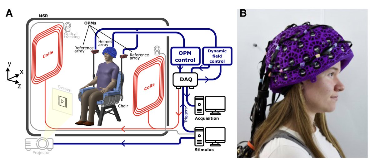 Imaging Neuroscience tweet media