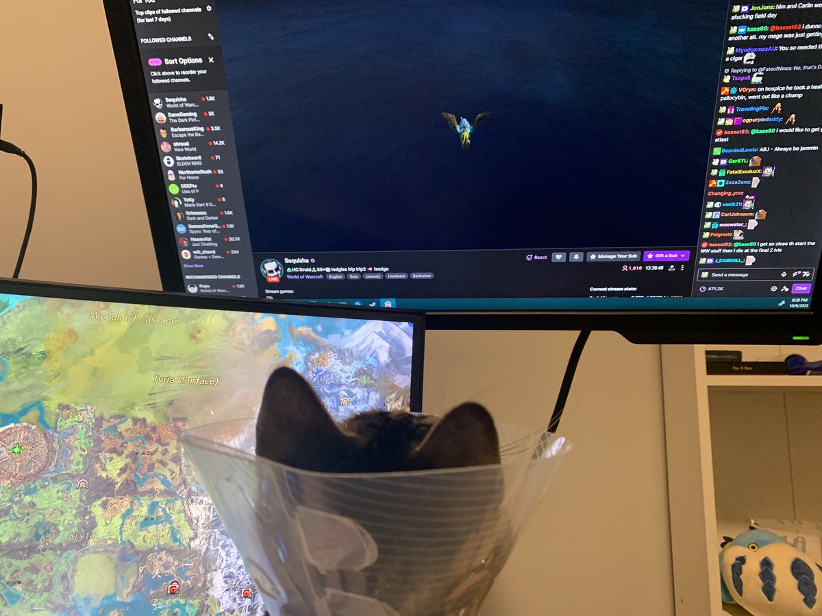ohhimarket's tweet photo. Vi really enjoys the gryphon flight. Keep it up, thanks for entertaining the kids. @Sequisha https://t.co/V96I7qSnea