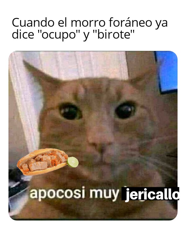 ShitpostGDL's tweet photo. https://t.co/lDKTLYMsj9