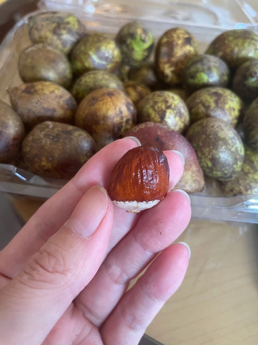 AvaWilliams01's tweet photo. Anyone know what fruit this is?😁 https://t.co/e0DU9cNSg1