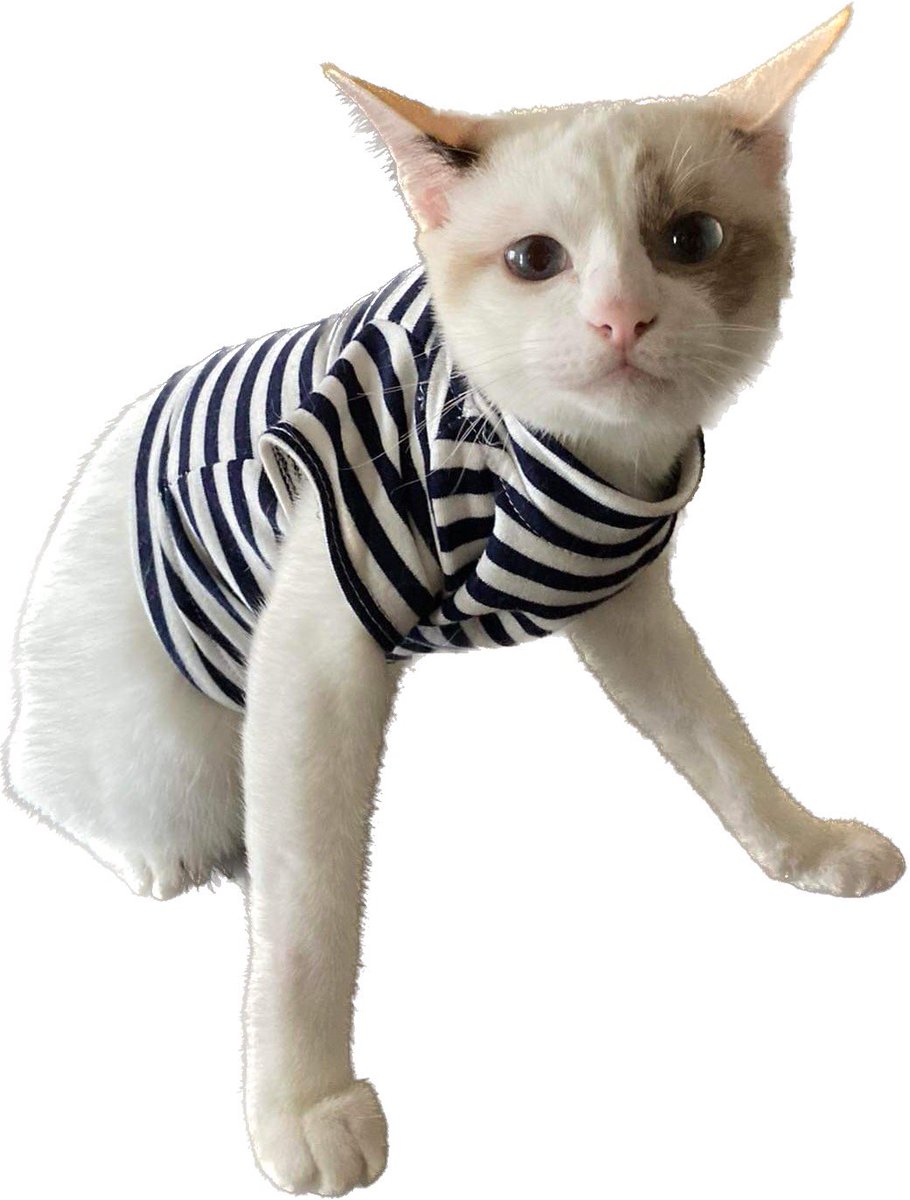 my bibi sora 🫶🏻