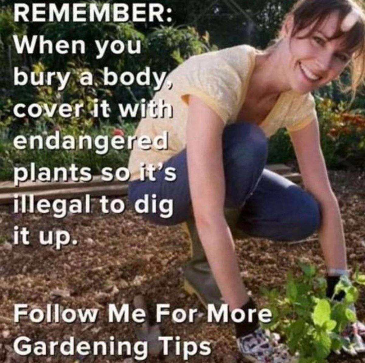 xxxentity's tweet photo. Tips on point https://t.co/WwwX9UqxuM