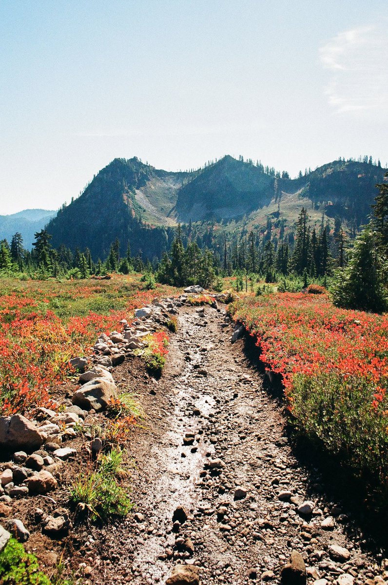 prmkhtr's tweet photo. Autumn colours at Mount Baker #35mm https://t.co/H3CD0NB8VZ
