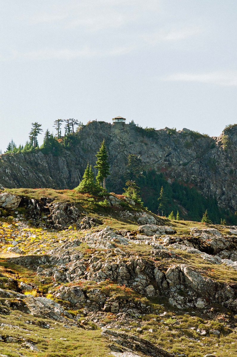 prmkhtr's tweet photo. Autumn colours at Mount Baker #35mm https://t.co/H3CD0NB8VZ