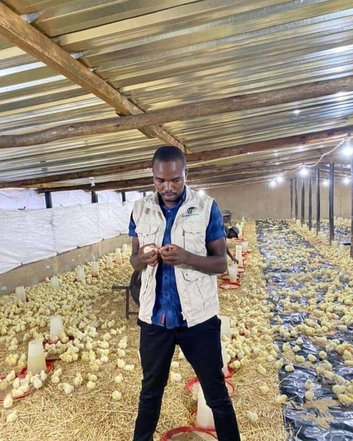 Wenceslous Nyamupfukudza tweet media