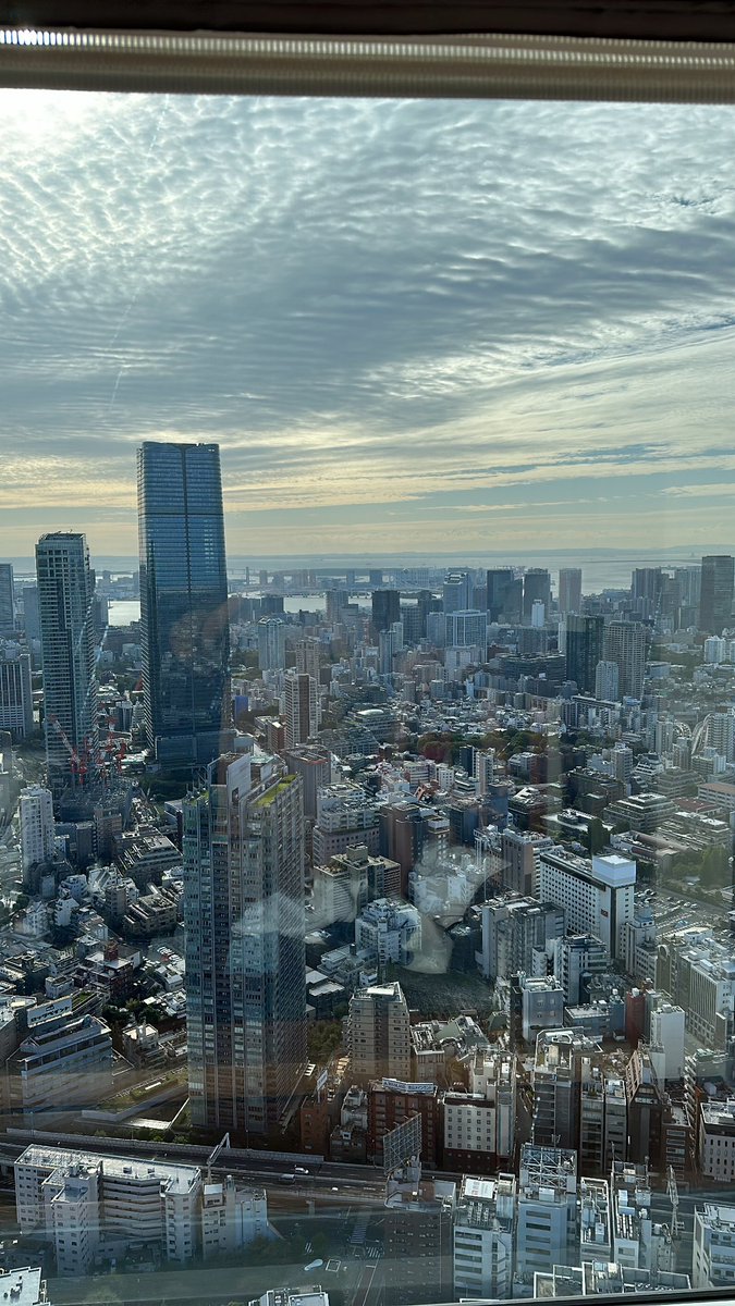 旅好きMR tweet media