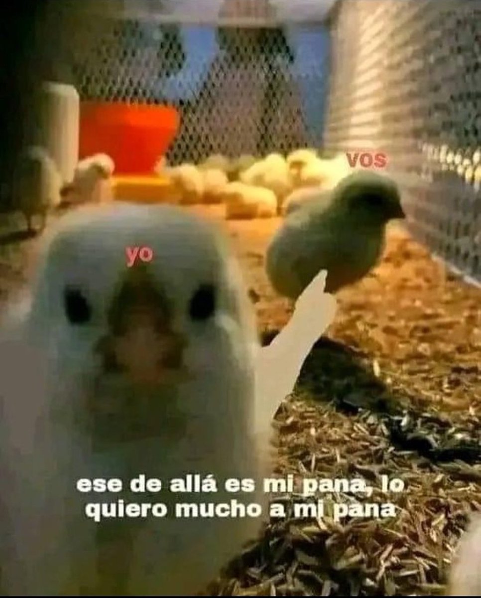 dankertix's tweet photo. Yo cuando veo a una persona que también va a ver #JesusEnUNIFE181 : https://t.co/OqPj8K04oG