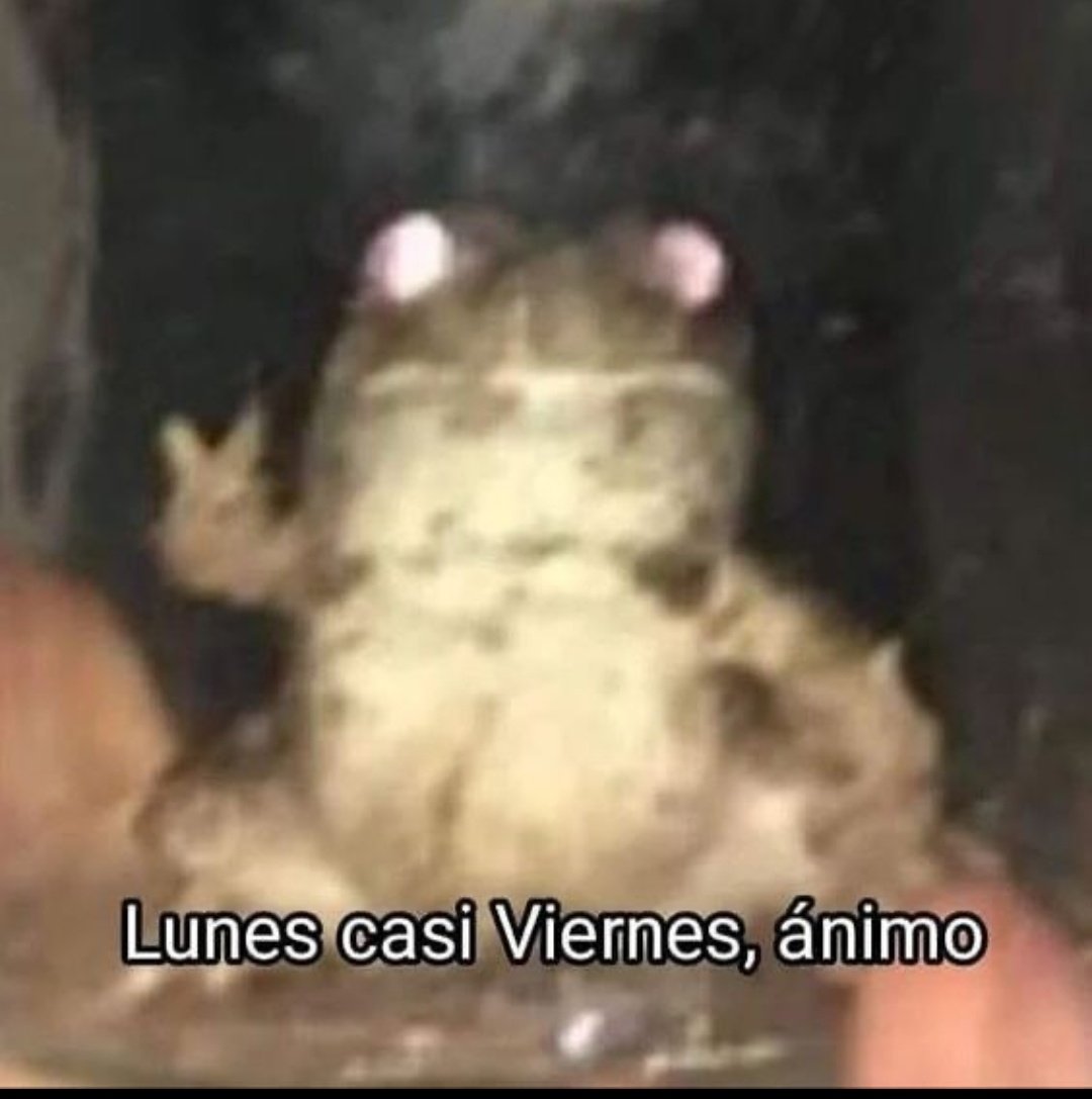 dankertix's tweet photo. Animo razaaaa, además ya mero va a empezar #JesusEnUNIFE181, es lo chido de que sea Lunes 🤠 https://t.co/xJj3U8T7tW