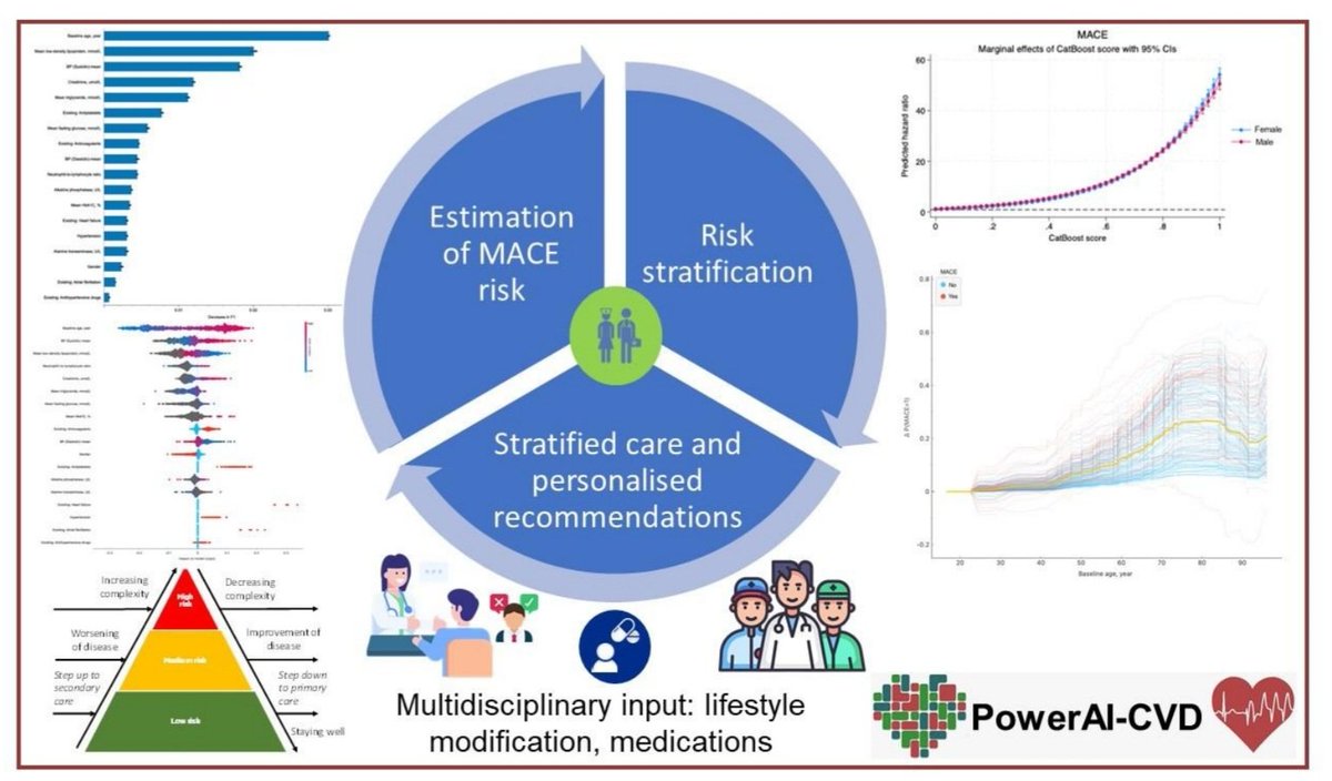 Our team developed PowerAI-CVD, the first Chinese-specific, validated AI- powered CVD risk model. @GaryTse1 @HealthcareAI_UK @DrHaipengLiu @AbrahamKWai1 More here: medrxiv.org/cgi/content/sh…