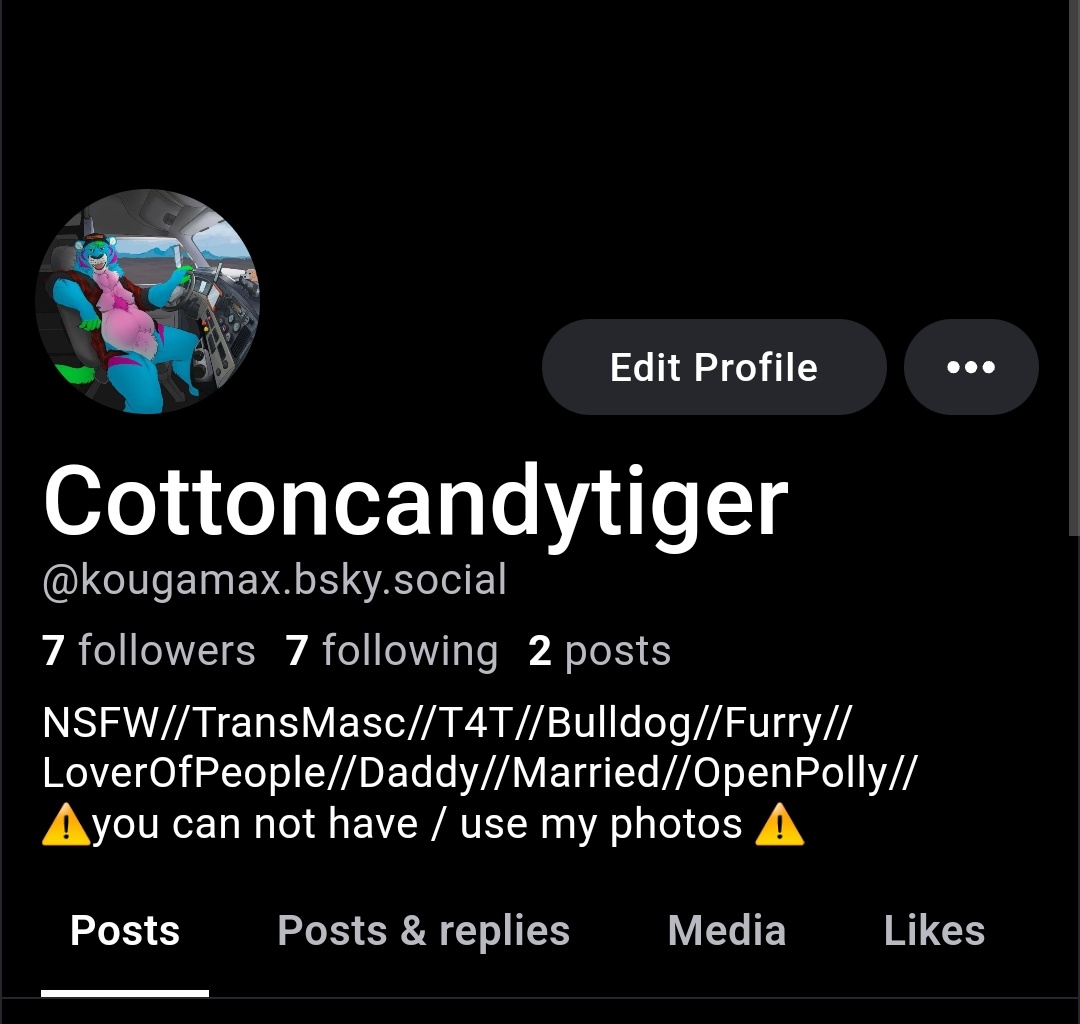 CottonCandyTiger (@maxkougamax) on Twitter photo 