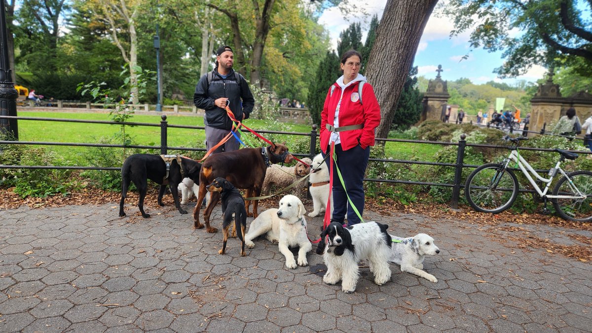 powerofphysics tweet media