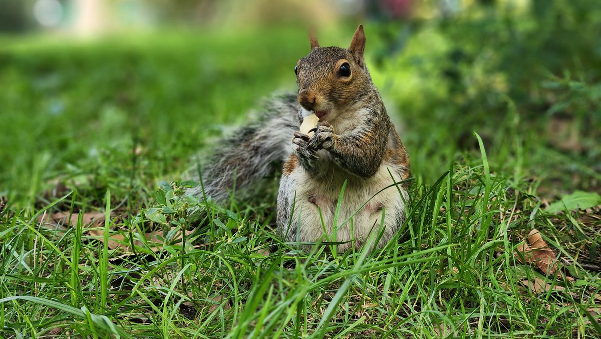 powerofphysics tweet media