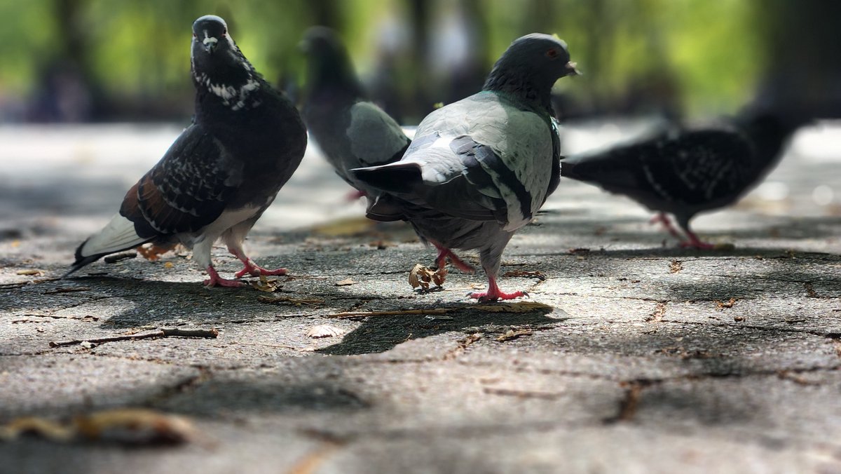 powerofphysics tweet media