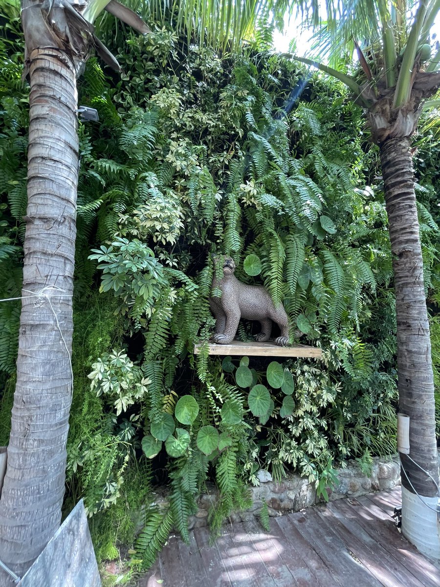 All Green tweet media