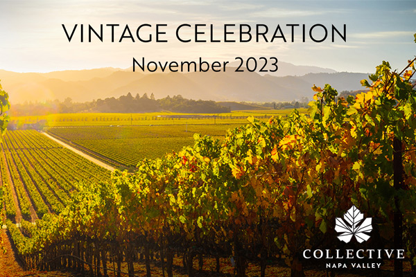 At this year's #VintageCelebration, we will continue our efforts to raise funds for the #ForestHealthInitiative and 2 key organizations: <a href="/NapaRCD/">Napa County RCD</a> + <a href="/NapaFirewise/">Napa Firewise</a>. They are working together to rebuild fire roads, plant the right trees in the right places and educate the community.