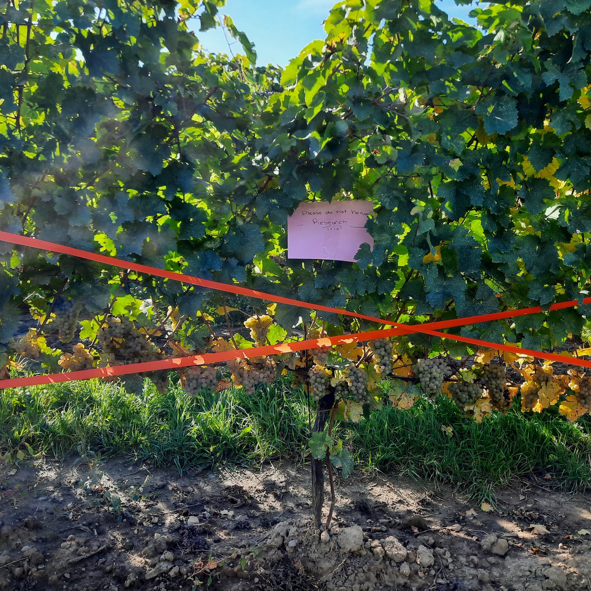 Kathryn Carter tweet media