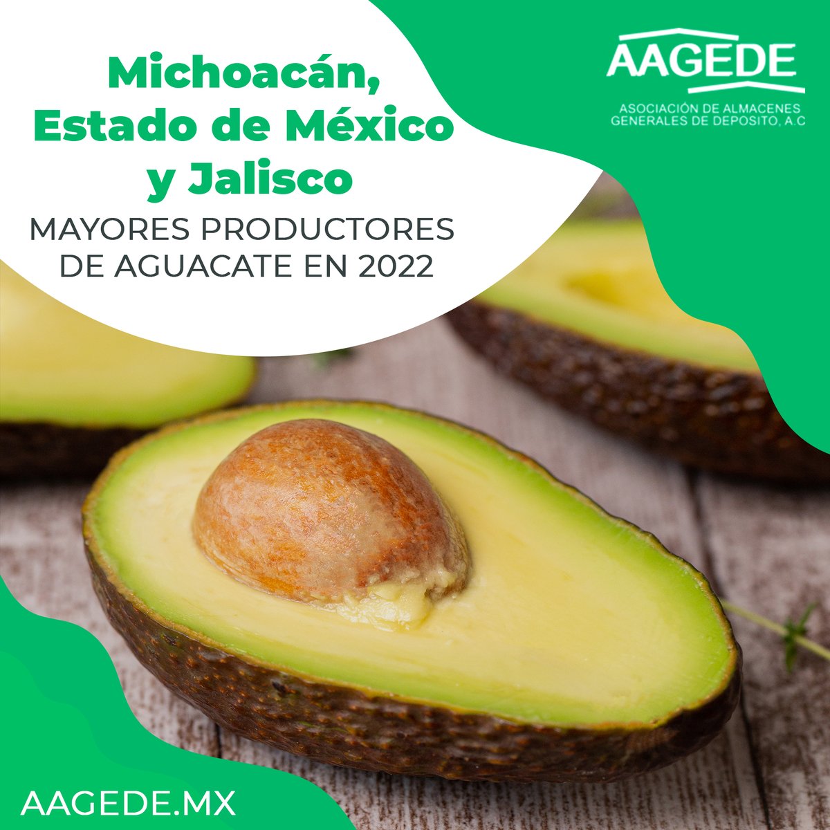 AAGEDEAC's tweet photo. ¡Todos estas entidades presentaron una relación superior a 11 udm/ha en 2022!🥑
.
.
.
.
#PorLaAgricultura #ImportacionMexico #UnionesdeCredito  #comercioexterioryaduanas #almacenesdedeposito  #Agricultura  #aduanasmx #aduanasmexico #aduanamx #aduanamexico #deposito https://t.co/49So1RGnHp