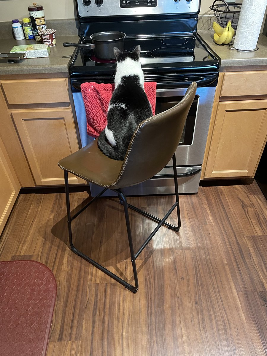 I thought I would help my mum make dinner   I’m Charlie