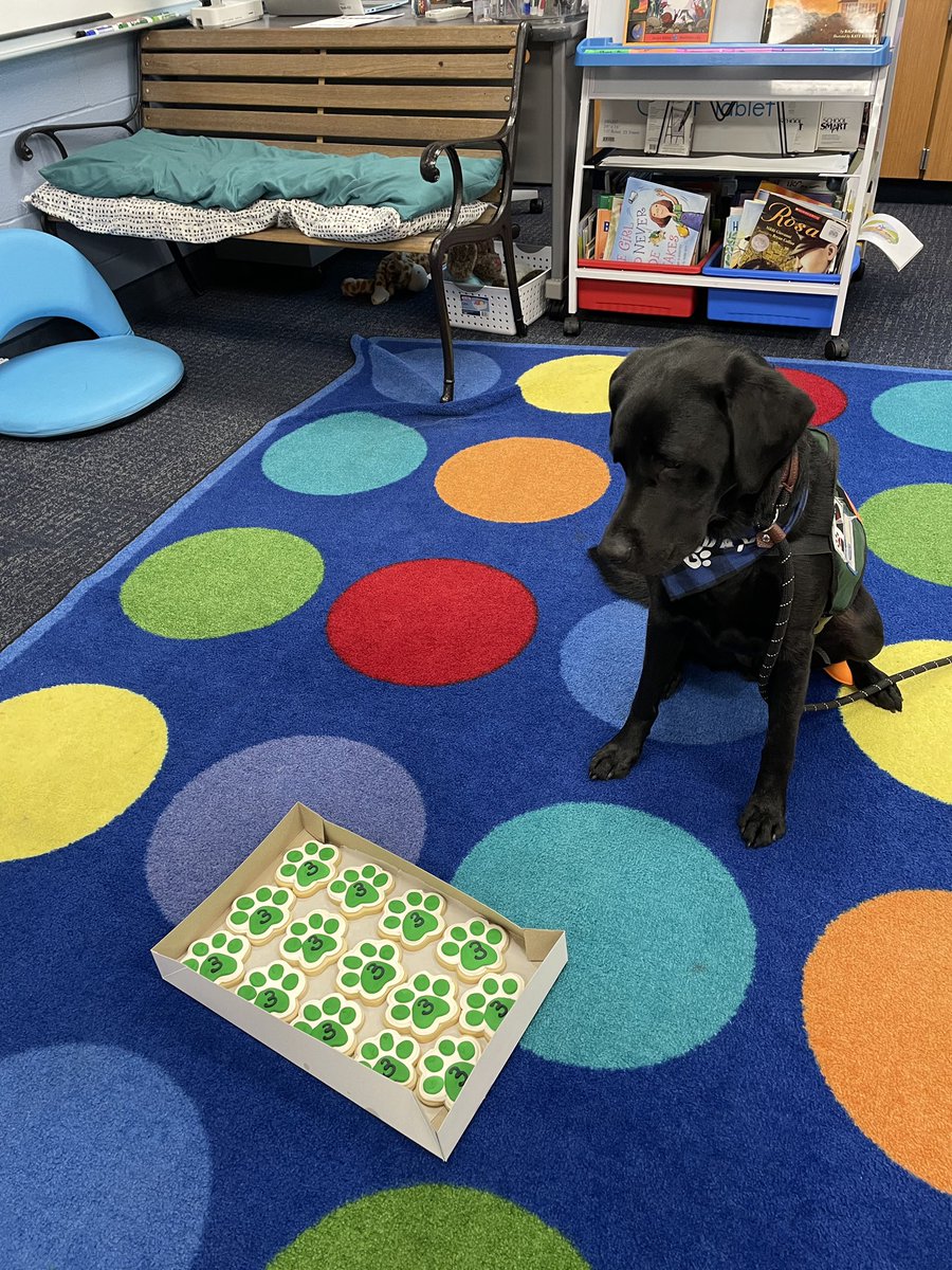 deleeuwc's tweet image. It&apos;s Romeo&apos;s birthday!!! We had so much fun celebrating him. @GlengaryElem @WalledLkSchools