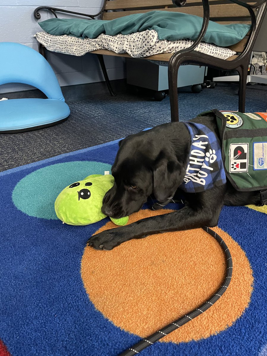 Carrie Oconnell (@deleeuwc) on Twitter photo It's Romeo's birthday!!! We had so much fun celebrating him. <a href="/GlengaryElem/">Glengary Elementary</a> <a href="/WalledLkSchools/">Walled Lake Schools</a> It's Romeo's birthday!!! We had so much fun celebrating him. <a href="/GlengaryElem/">Glengary Elementary</a> <a href="/WalledLkSchools/">Walled Lake Schools</a>