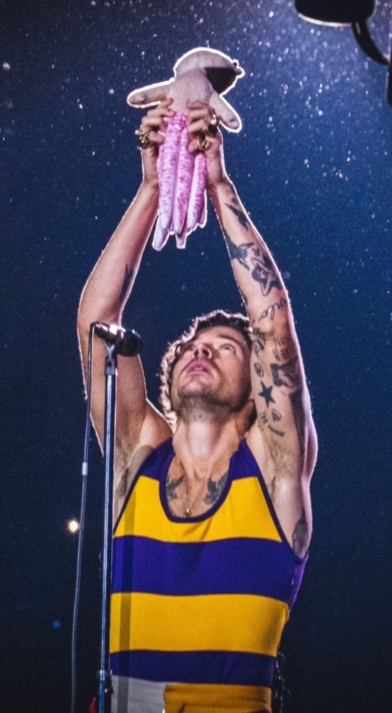 harry on tour (@heslotarchive) on Twitter photo 