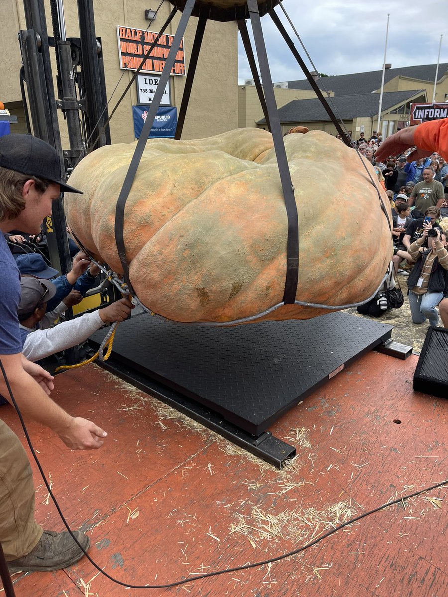 Half Moon Bay Art & Pumpkin Festival tweet media