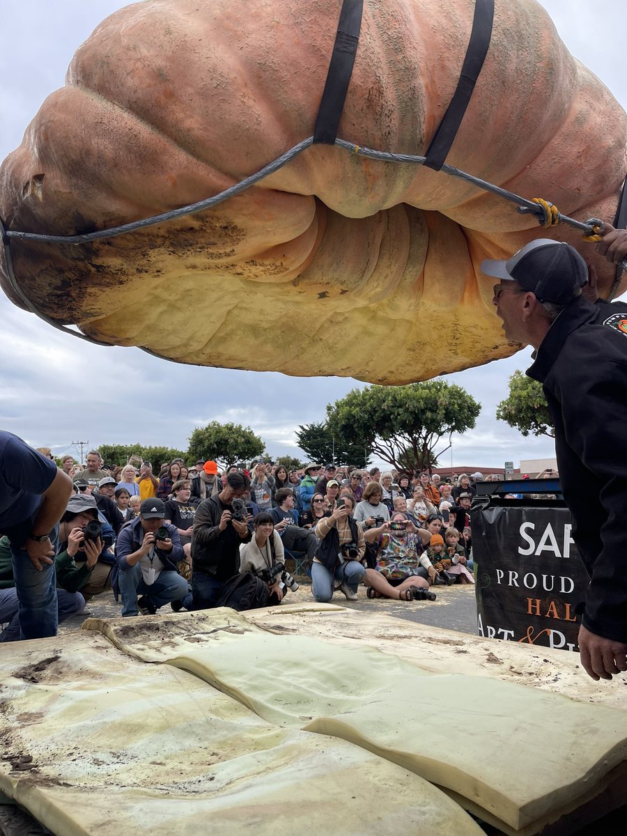 Half Moon Bay Art & Pumpkin Festival tweet media