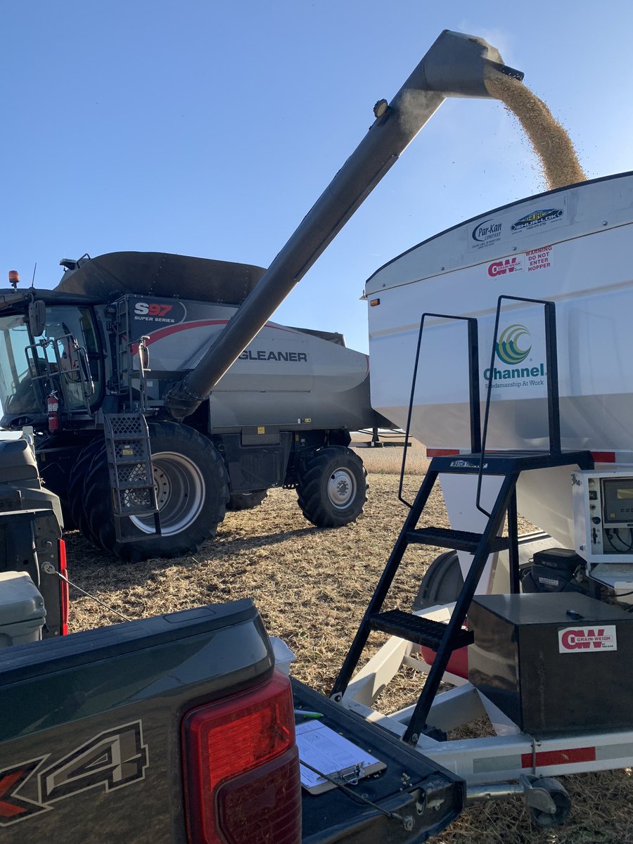 Craig Stiens (@craigstiens) on Twitter photo First soybean trial harvested in Northeast KS. Thanks to <a href="/Twgrable/">Tim Grable</a> and <a href="/ryanagrable/">Ryan Grable</a> for taking the time to plant and harvest this <a href="/ChannelSeed/">Channel Seed</a> plot! New 3624RXF takes it with 3823RXF a very close second. <a href="/Channel_Kansas/">Channel Kansas</a> <a href="/Channel_MO/">Channel Missouri</a> First soybean trial harvested in Northeast KS. Thanks to <a href="/Twgrable/">Tim Grable</a> and <a href="/ryanagrable/">Ryan Grable</a> for taking the time to plant and harvest this <a href="/ChannelSeed/">Channel Seed</a> plot! New 3624RXF takes it with 3823RXF a very close second. <a href="/Channel_Kansas/">Channel Kansas</a> <a href="/Channel_MO/">Channel Missouri</a>