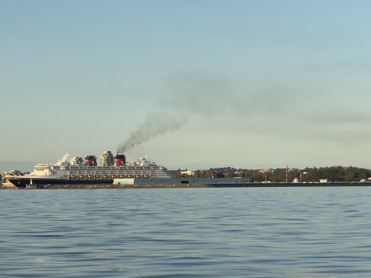 Love your neighbor tweet media