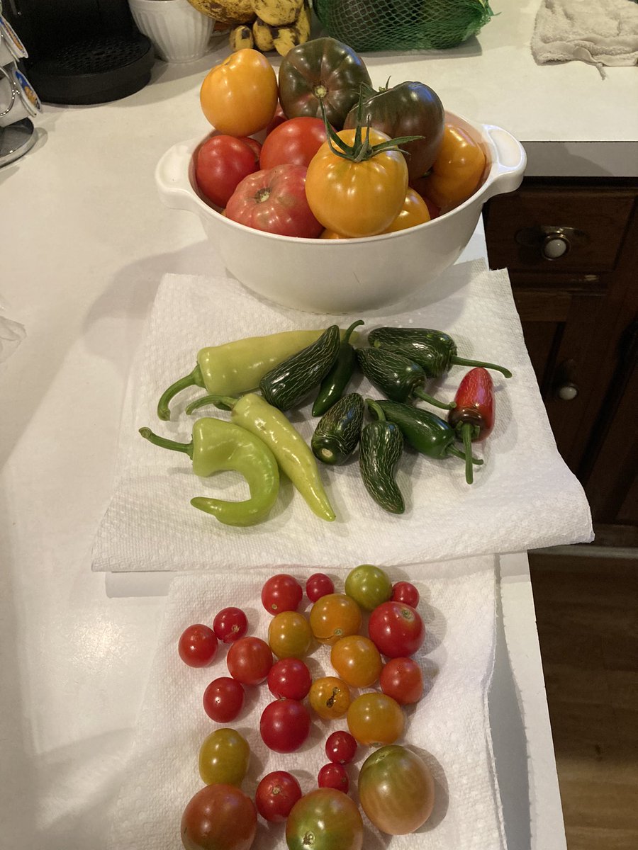 Might be the last harvest of the year.